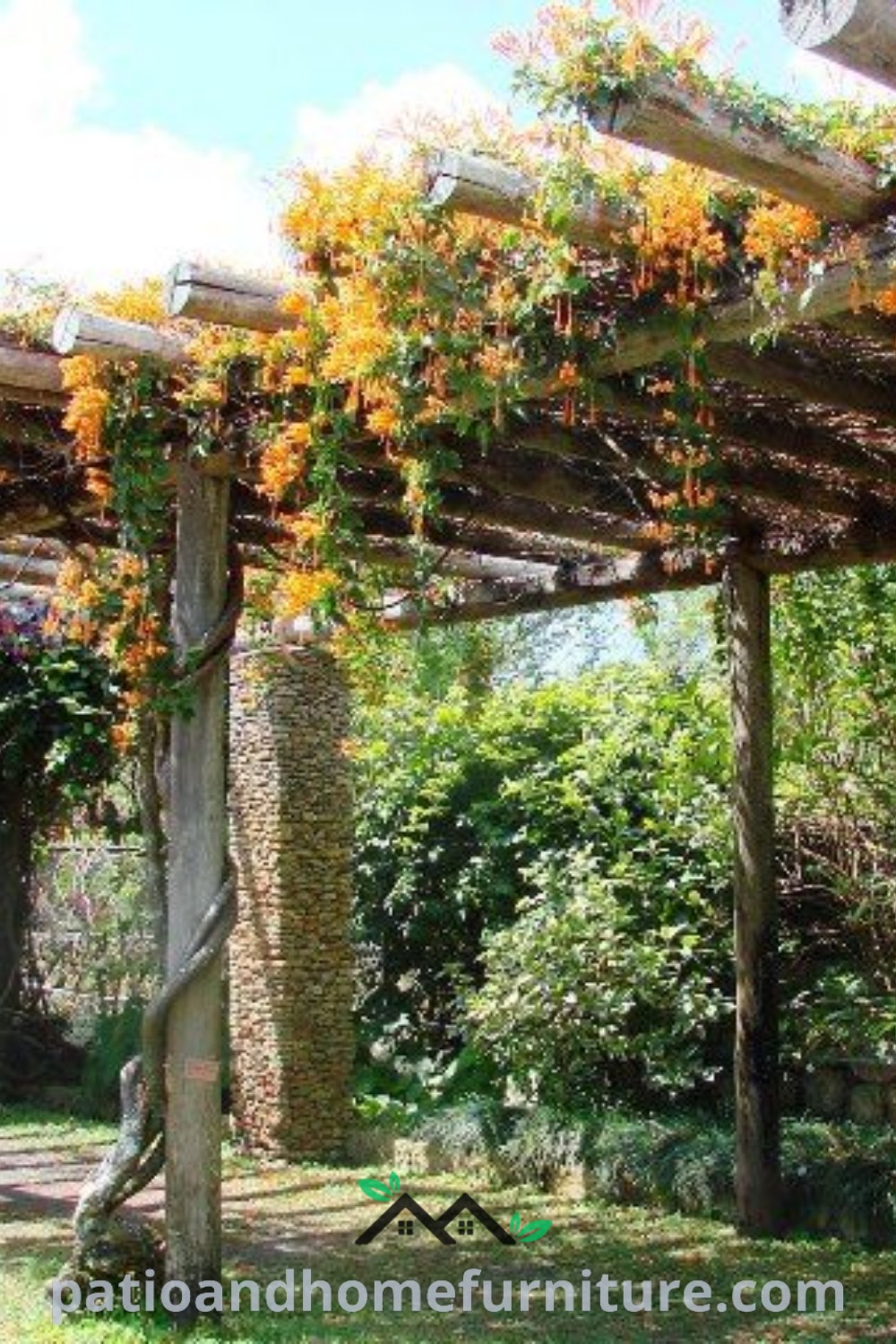 Vine-covered pergola adorned with colorful flowers and lush grapevines, creating a cozy outdoor space filled with natural beauty and inviting elements, perfect for relaxation or gatherings, featured on wellnesswink.com.