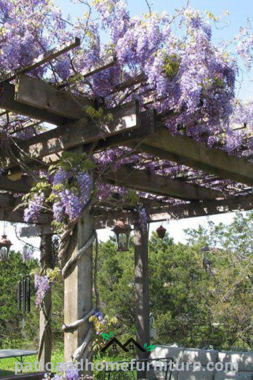 Covered outdoor patio with lovely purple wisteria flowers and string lights, creating a cozy and inviting atmosphere, perfect for relaxation or gatherings, featured on wellnesswink.com.