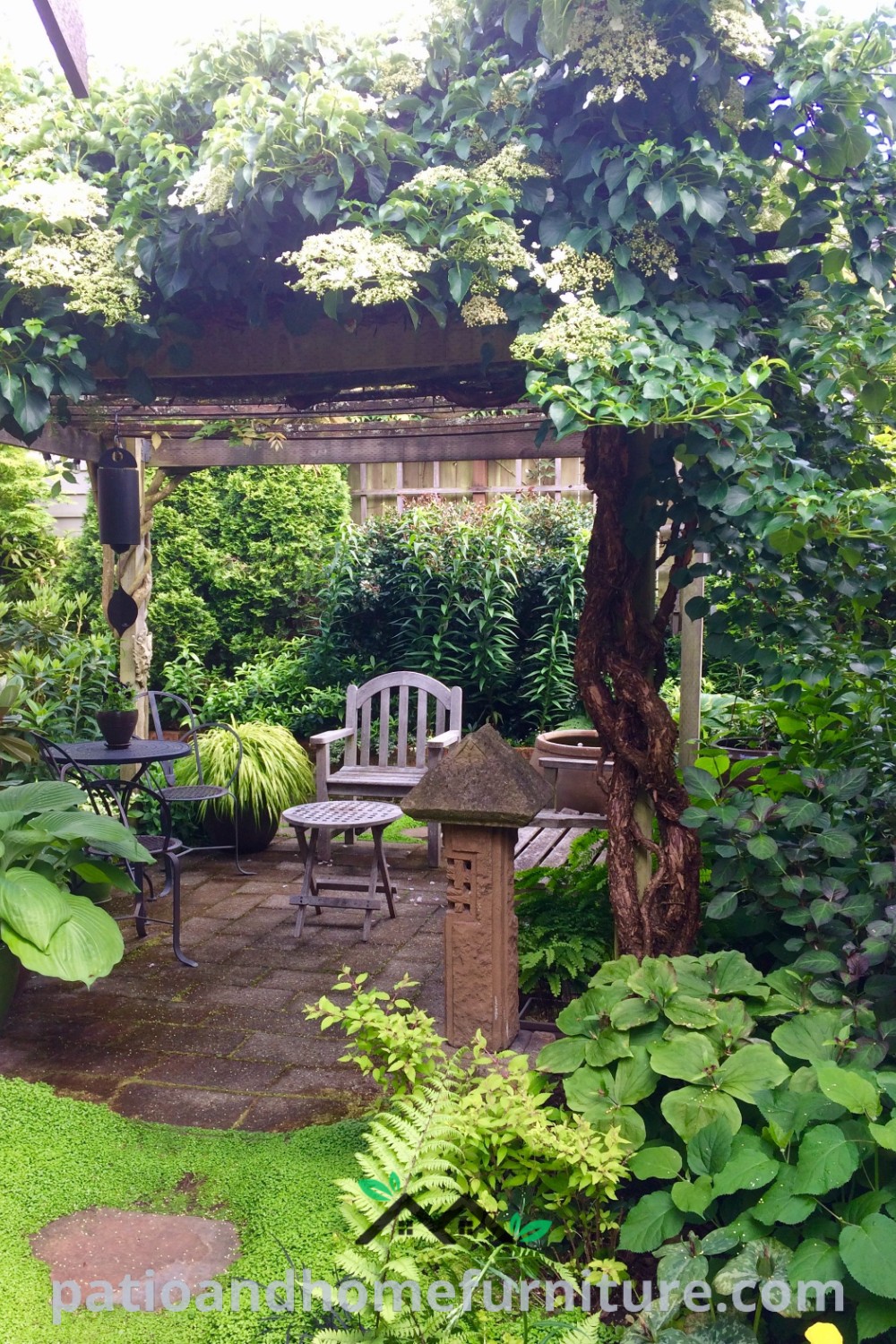Lush backyard garden with green plants, cozy chairs, and a floral pergola, showcasing unique decor ideas for a serene and inviting outdoor space at wellnesswink.com.
