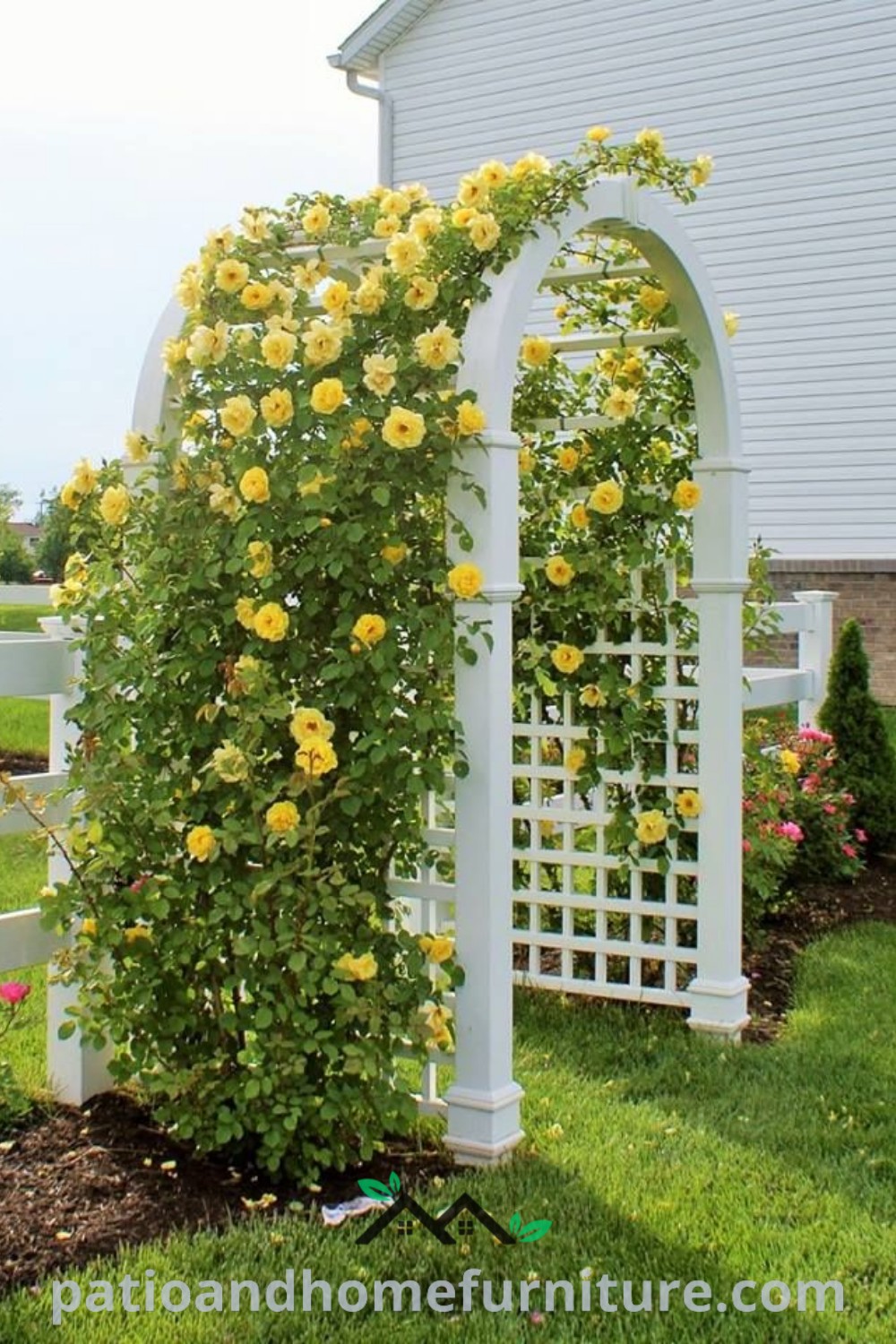 A cozy white trellis decorated with climbing yellow roses, symbolizing inspiring garden design ideas for your home from wellnesswink.com, enhancing outdoor decor and charm.
