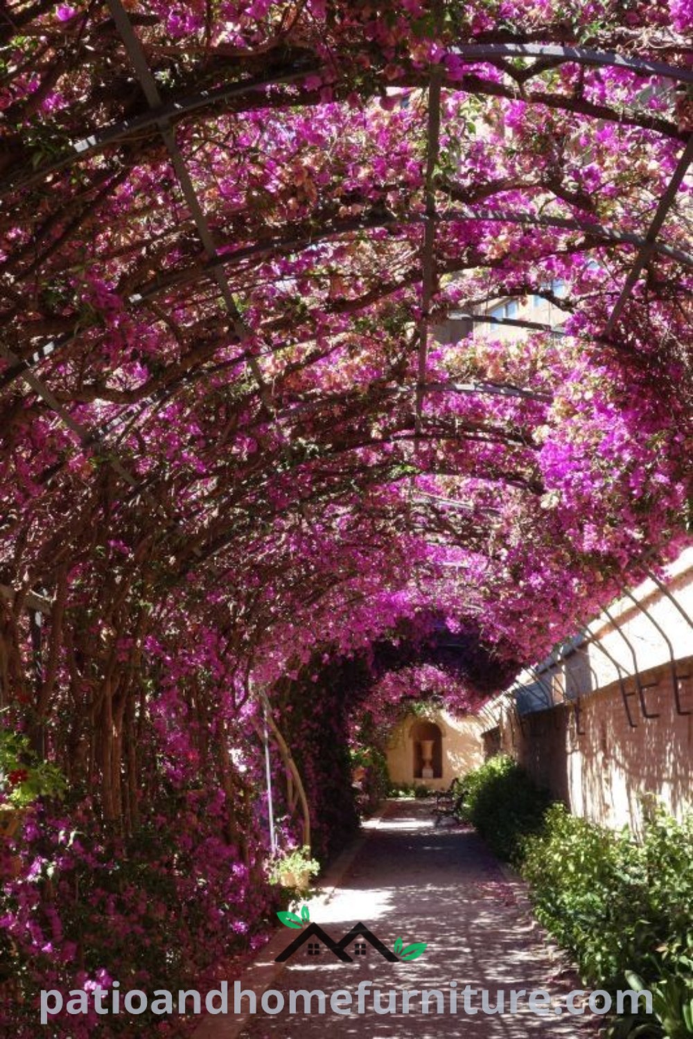 Cozy walkway lined with beautiful purple flowers, featuring creative fence edging ideas that enhance the backyard landscape for a charming and inviting home, wellnesswink.com.