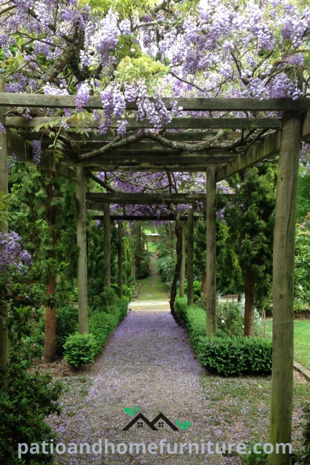 Cozy garden arbor adorned with purple flowers amidst a tree-lined path, creating an inviting and serene atmosphere, with design ideas for enhancing your outdoor space, featured on wellnesswink.com.