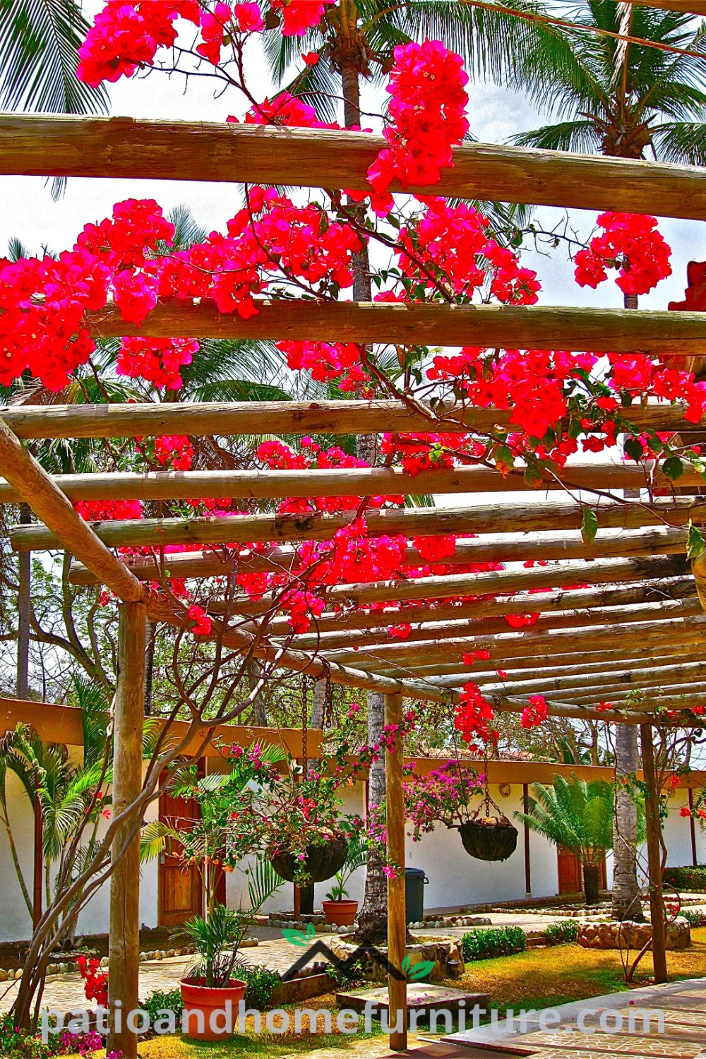 Red flowers blooming on a pergolated area, enhancing the outdoor space with vibrant color and inviting ambiance, providing cozy ideas for your home decor, featured on wellnesswink.com.